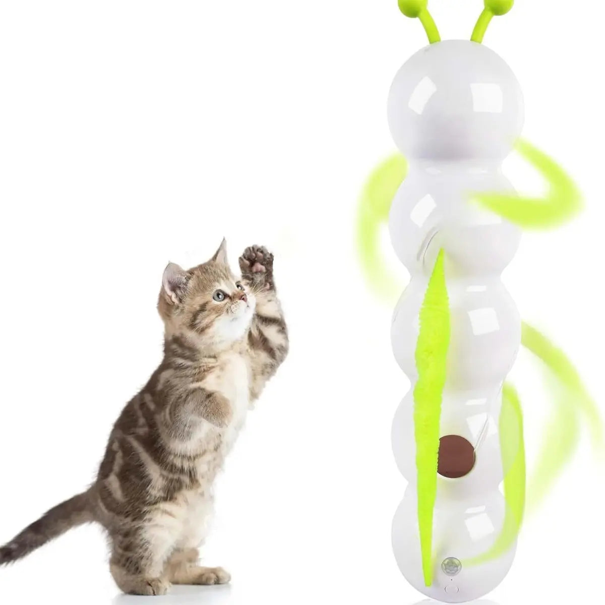 Mroace Whack a Worm Post Cat Toy