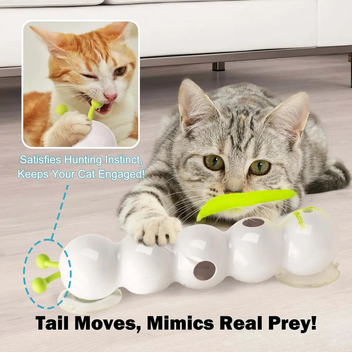 Mroace Whack a Worm Post Cat Toy