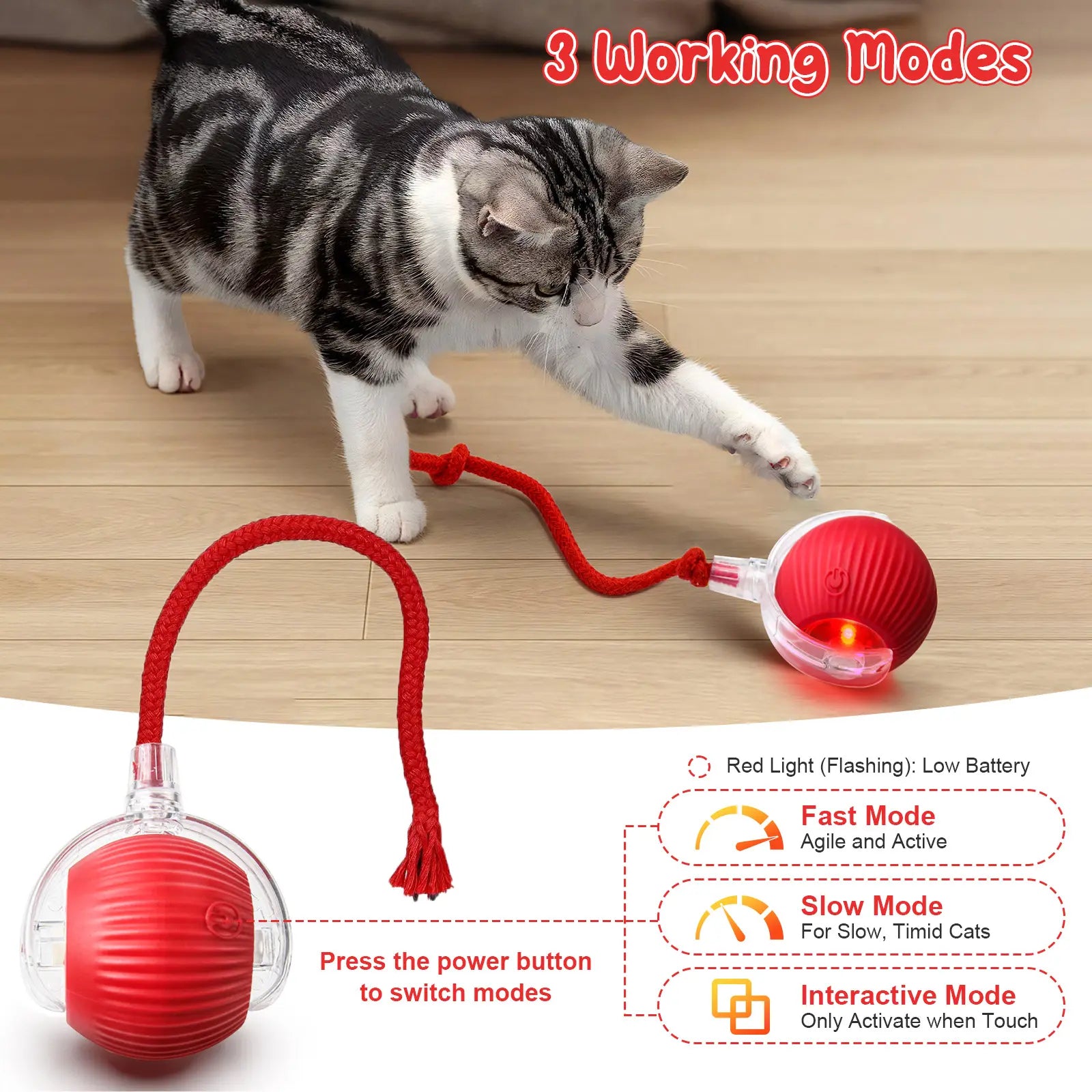 Morace Cat&Small dog Toy