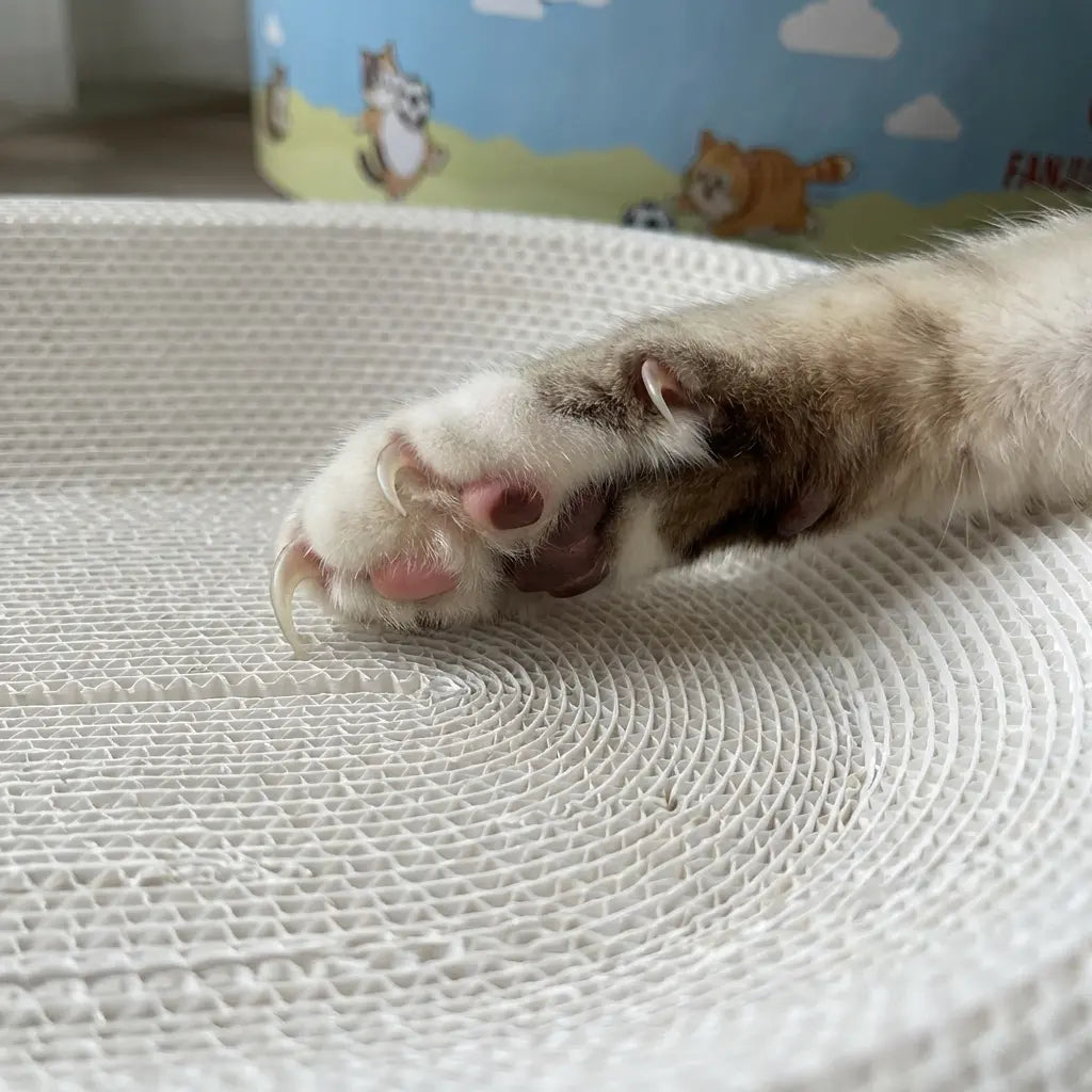 Mroace 2-in-1 Cartoon cat scratcher bed