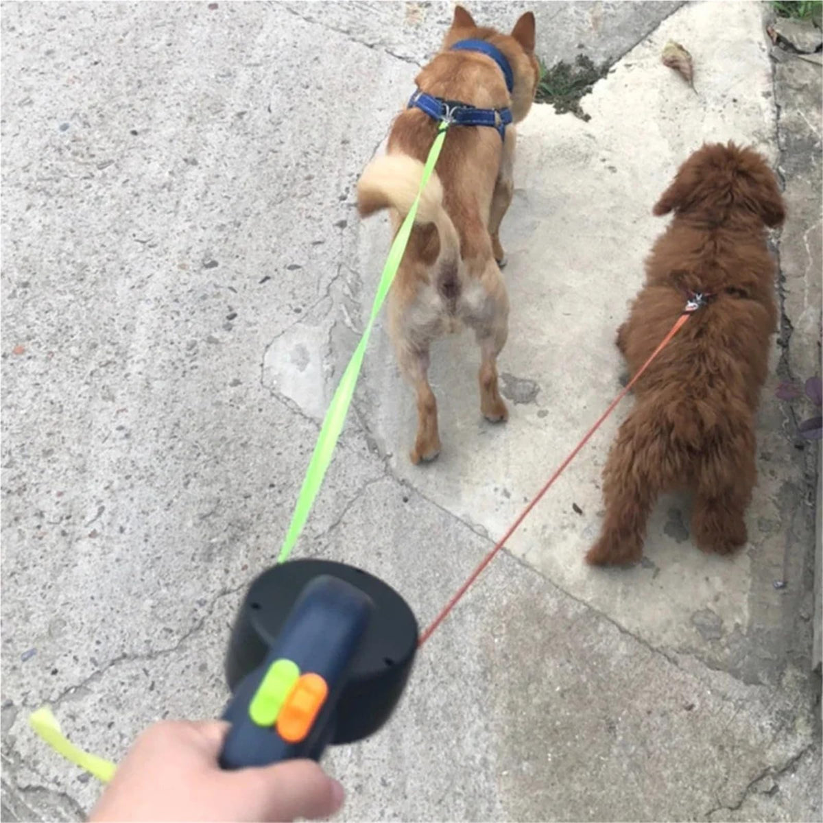 Mroace Adjustable Dual Retractable Pet Leash With LED Light
