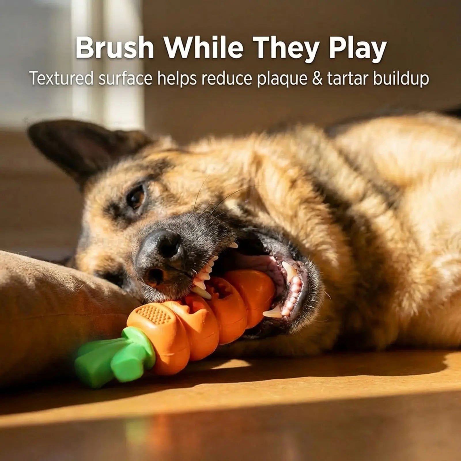 Mroace Aggressive Chewer Dog Toys