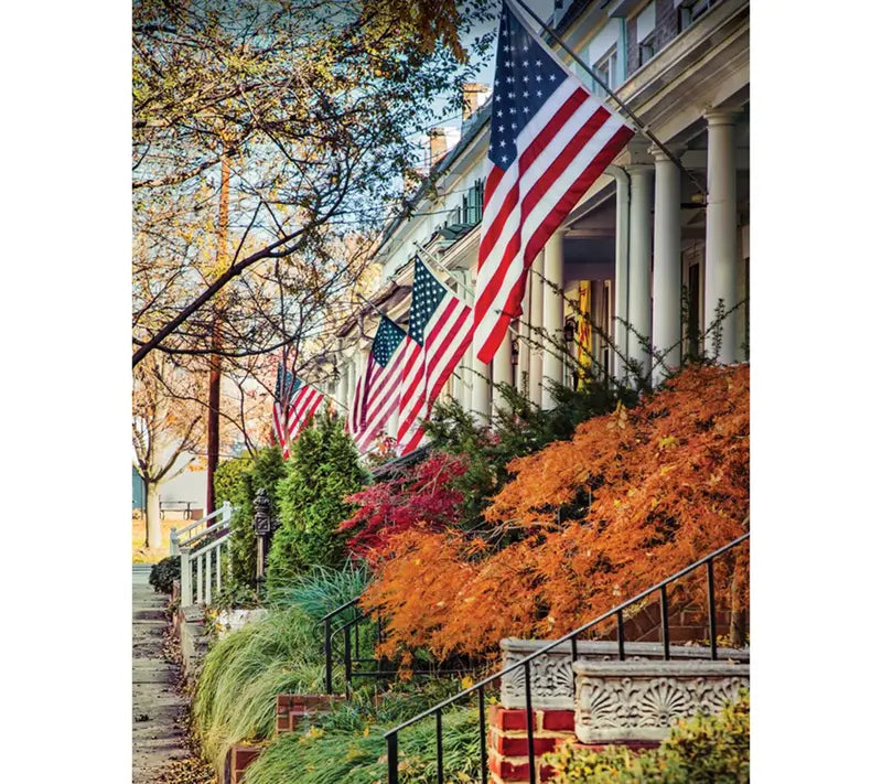 Mroace Premium American Flag 3 x 5 FT Made in USA