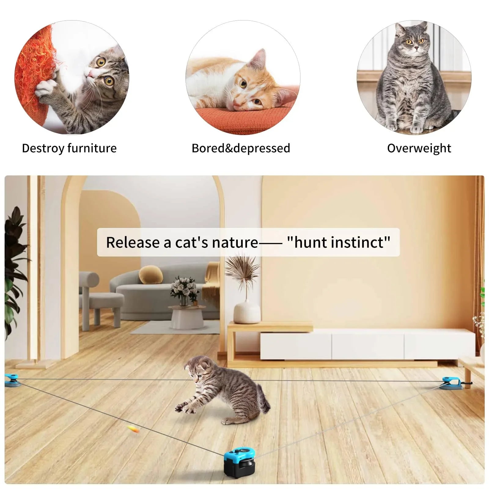 Mroace Interactive Auto/Manual Cat Treadmill Toy - MROACE