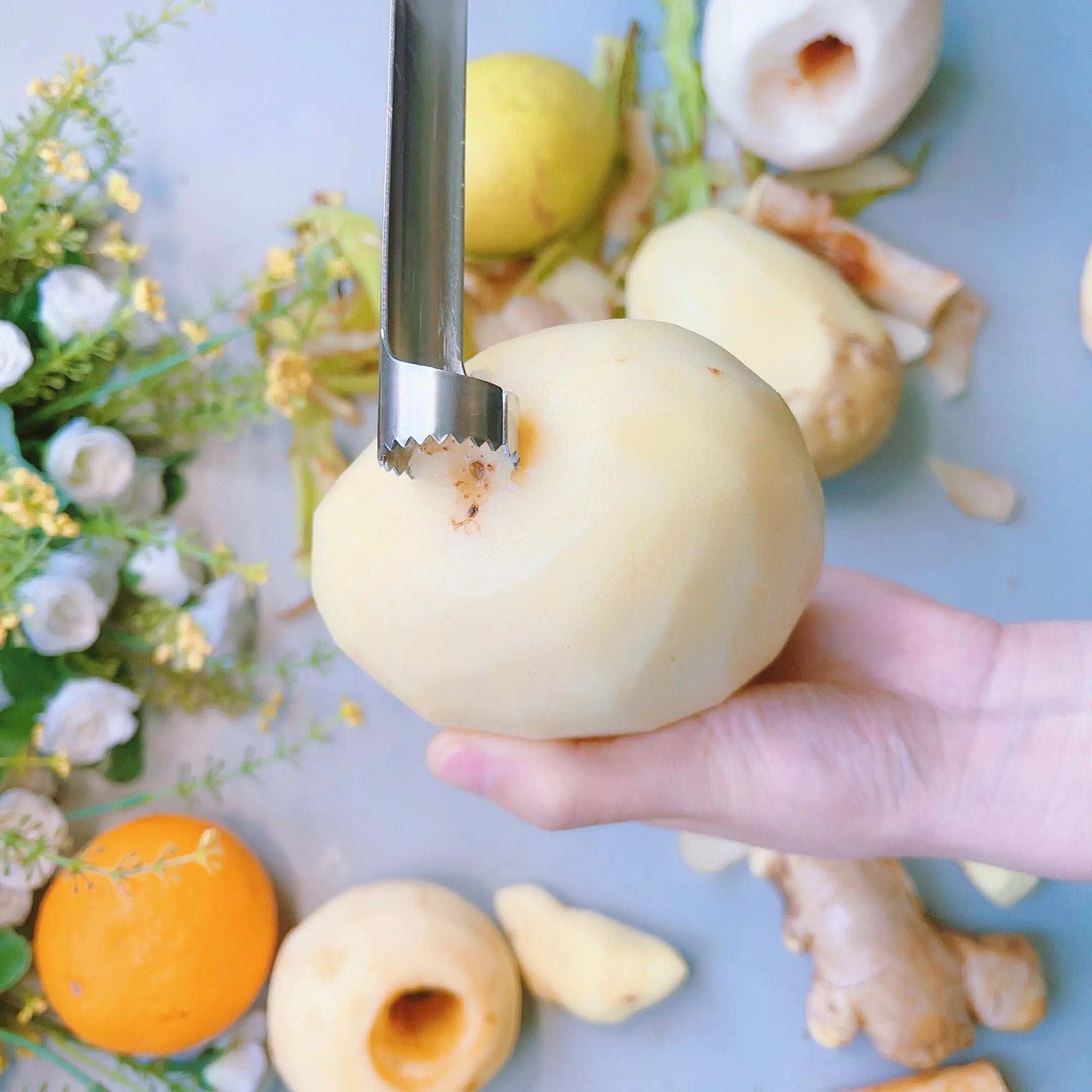 Morace 2-in-1 Telescopic Fruit Vegetable Peeling