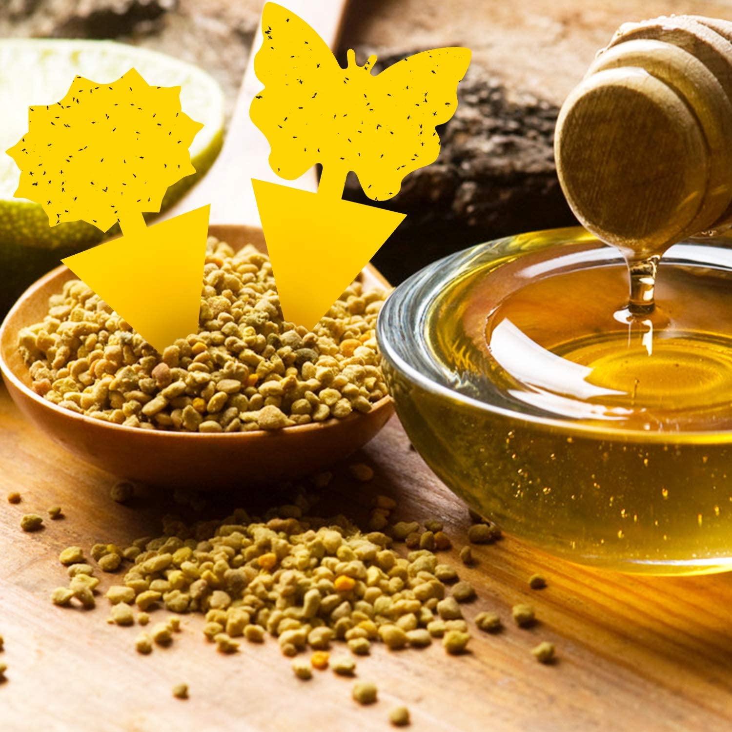 Mroace Sticky Plant Traps kit