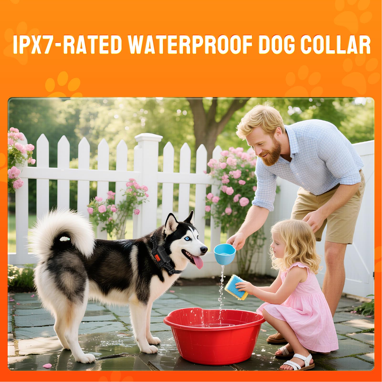 Mroace GPS Dog Fence Collar