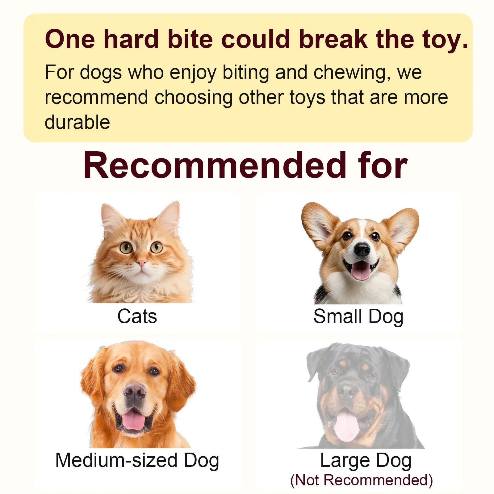 Morace Cat&Small dog Toy
