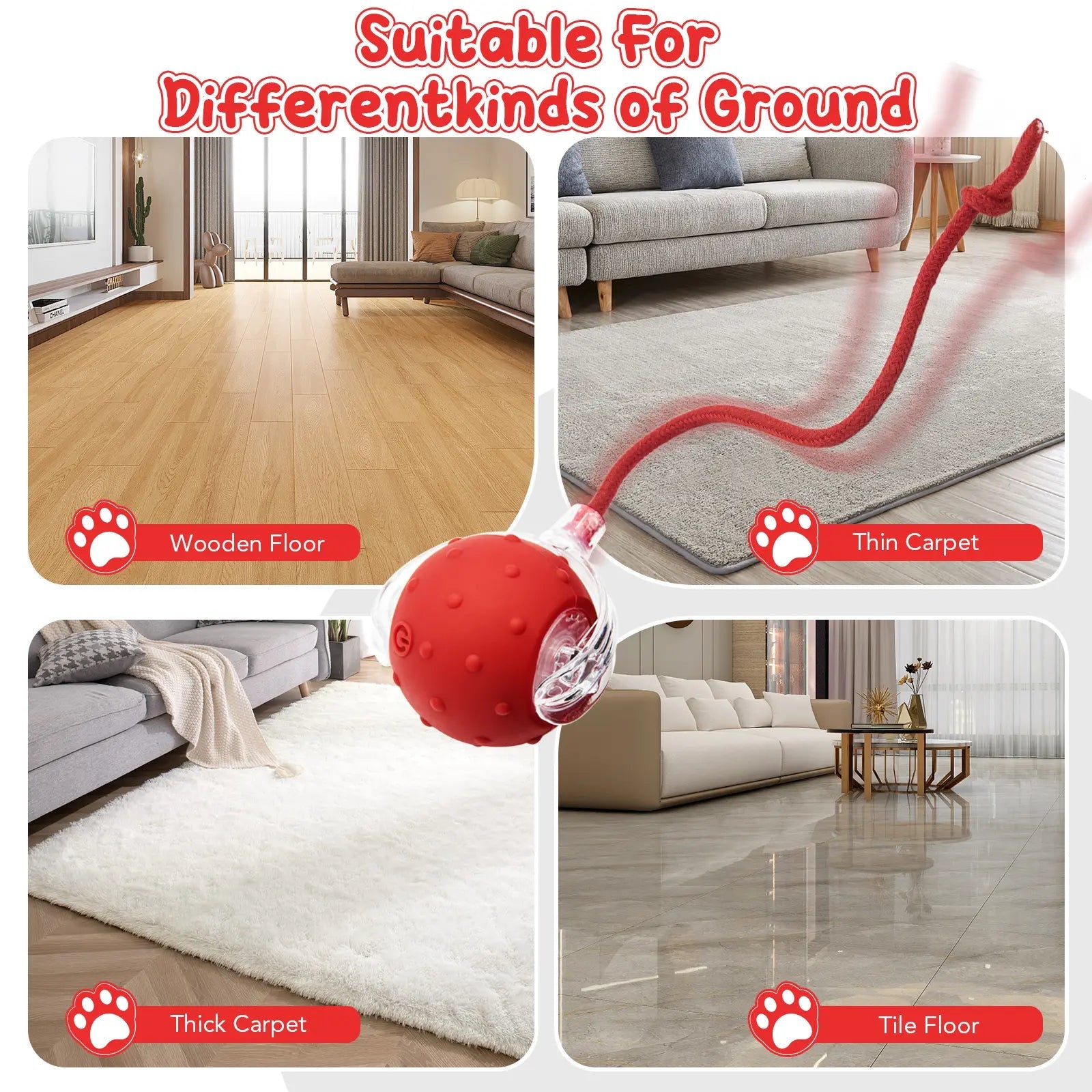 Morace Cat&Small dog Toy