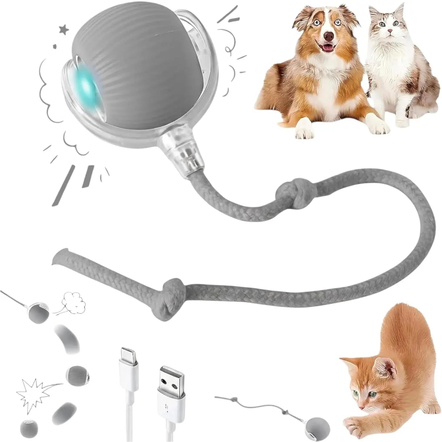 Morace Cat&Small dog Toy