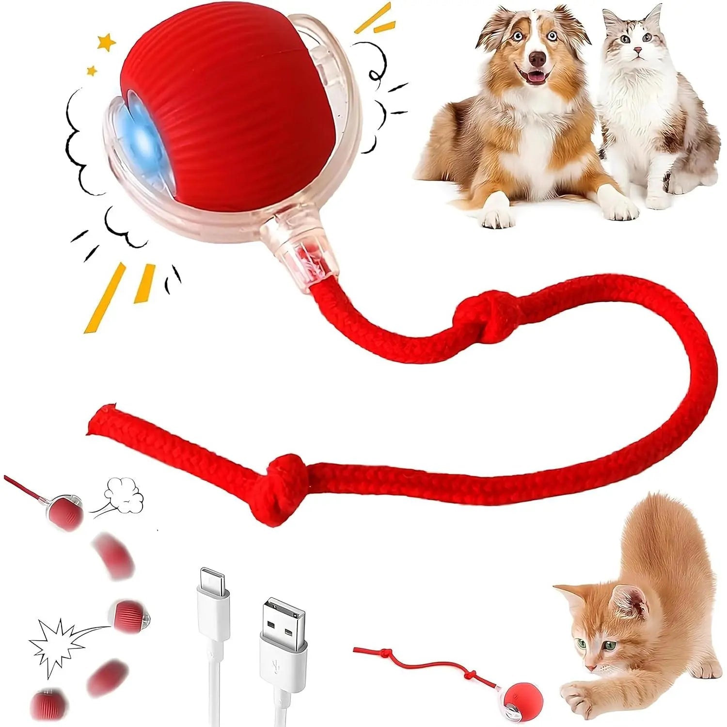 Morace Cat&Small dog Toy