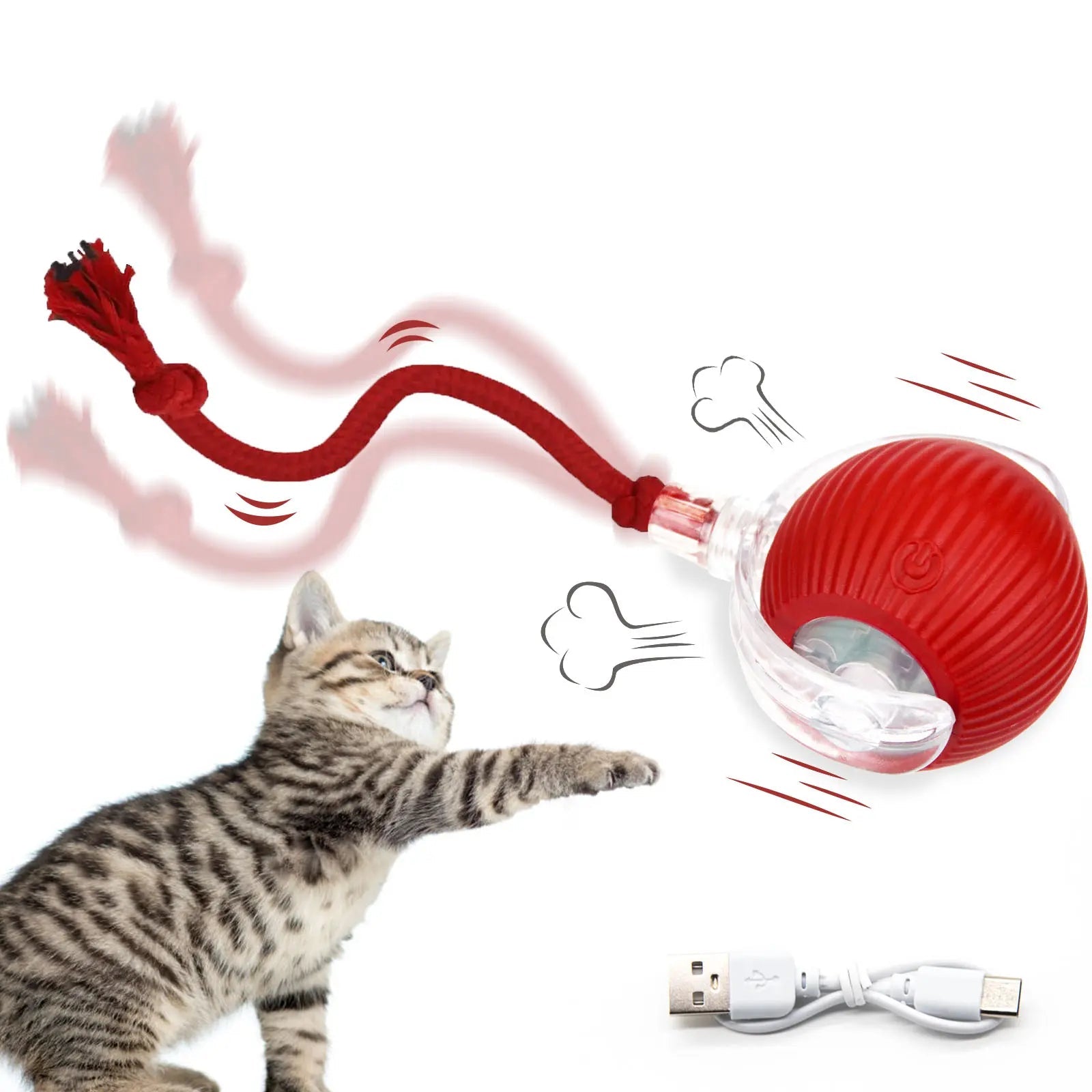 Morace Cat&Small dog Toy