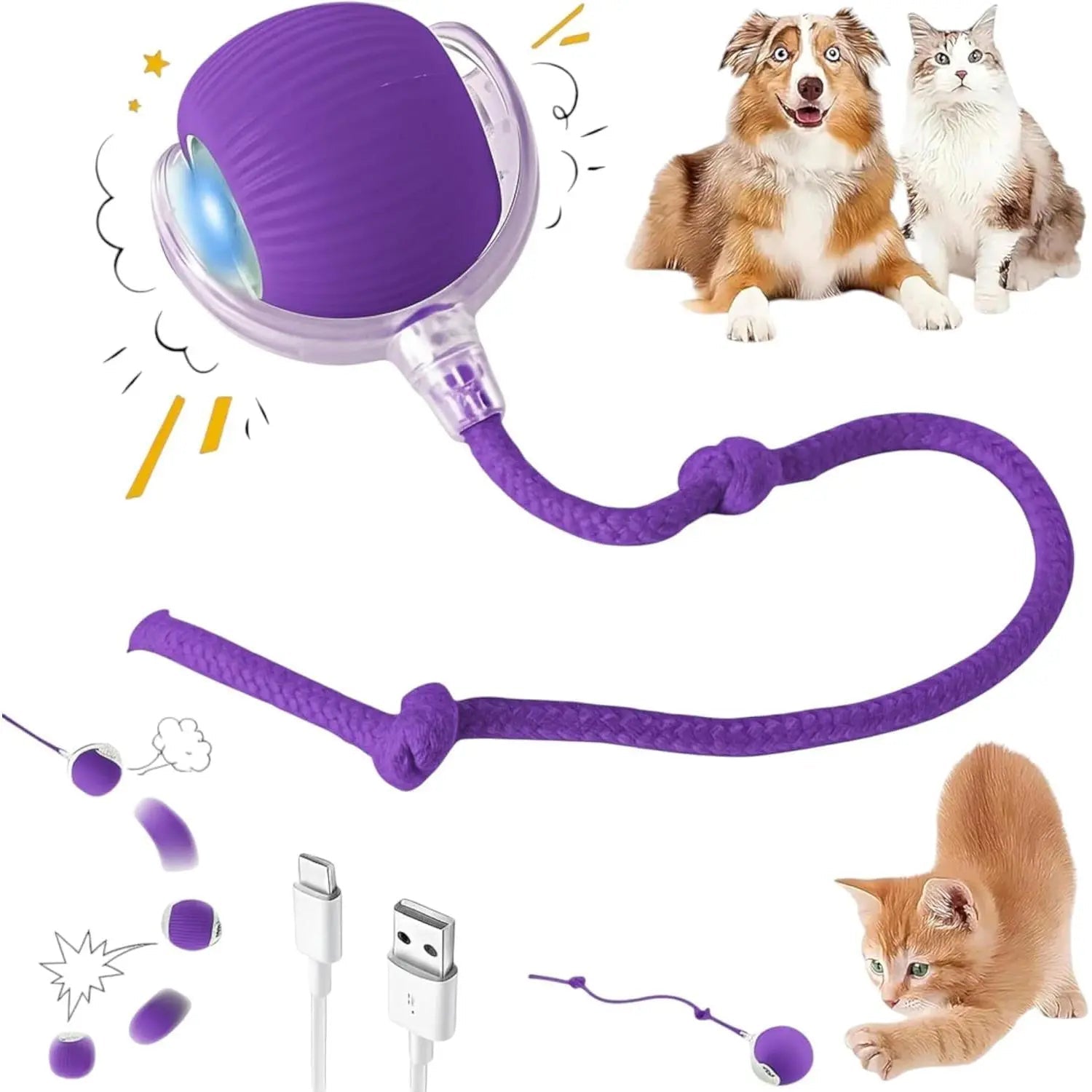Morace Cat&Small dog Toy
