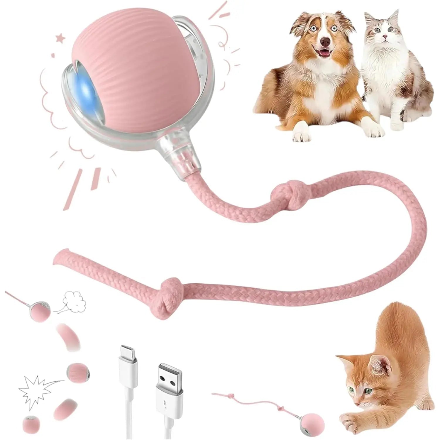 Morace Cat&Small dog Toy