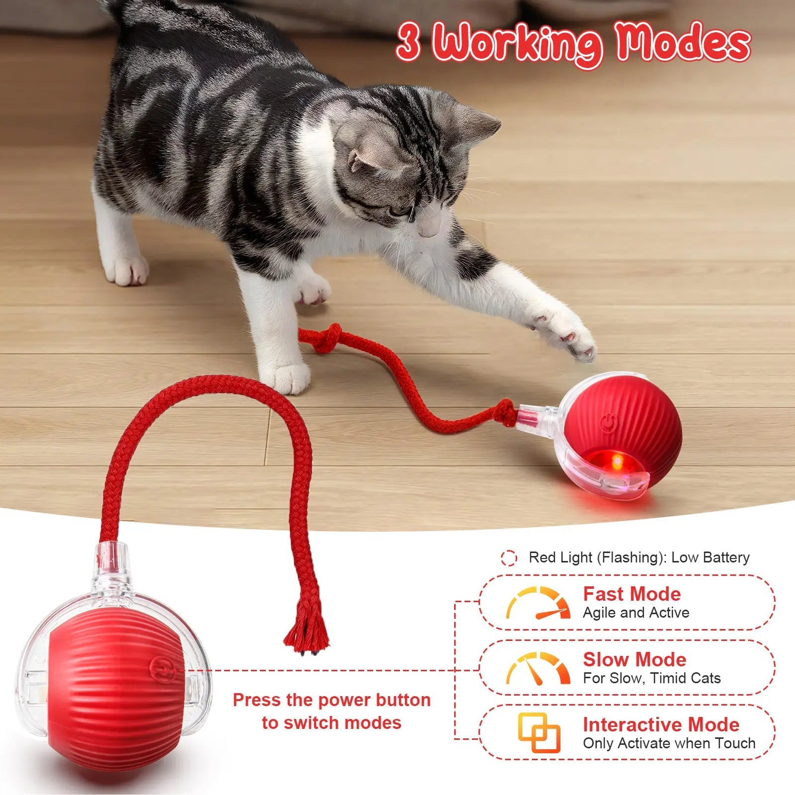 Morace Cat&Small dog Toy