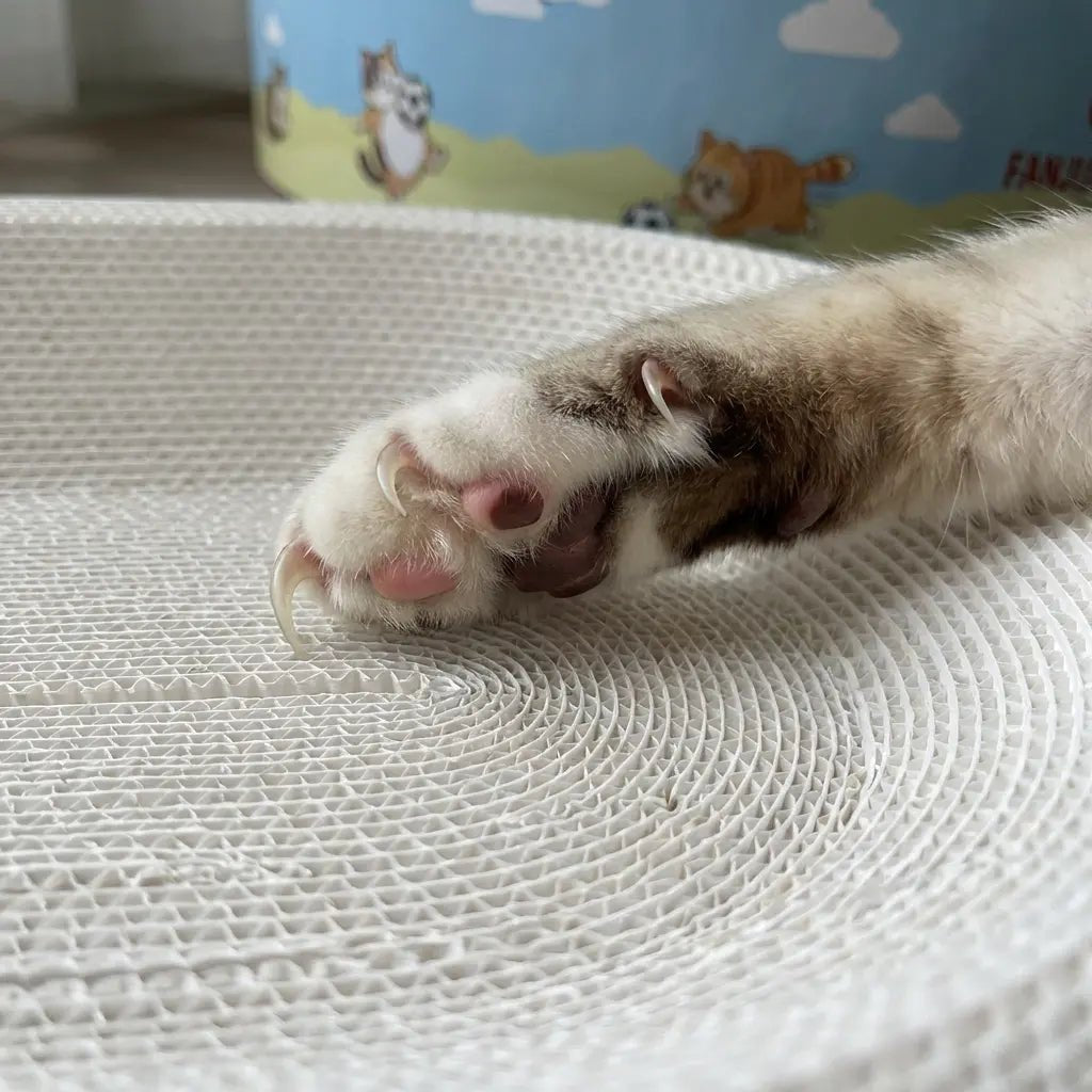 Mroace 2-in-1 Cartoon cat scratcher bed