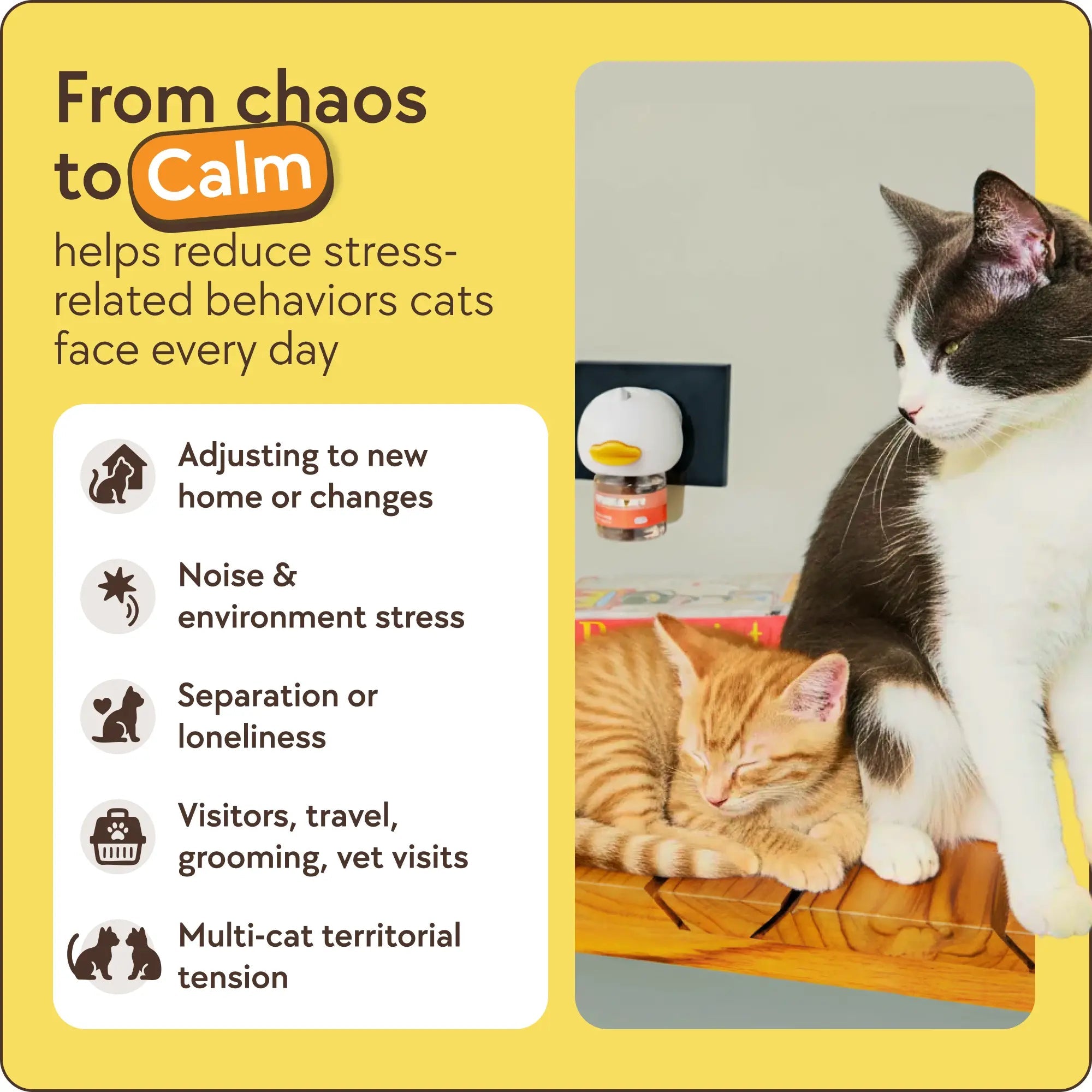 Mroace 60-Day Cat Calming Diffuser with Refill Included