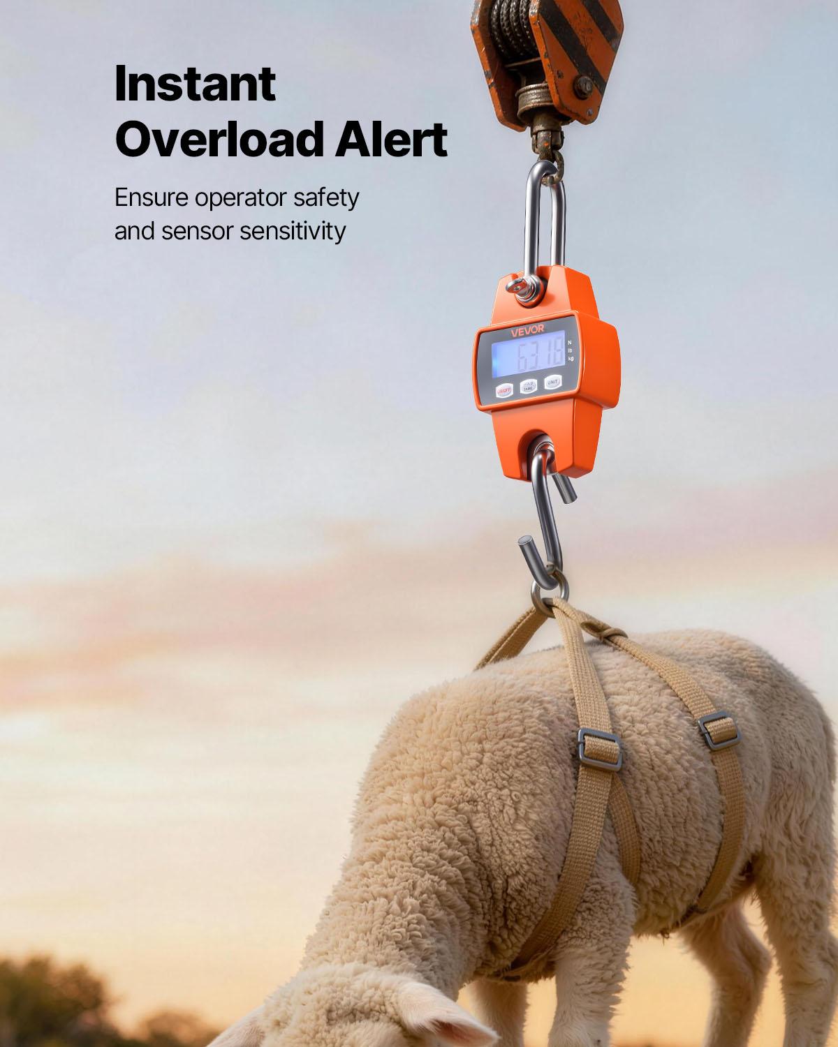 Mroace Digital Crane Scale