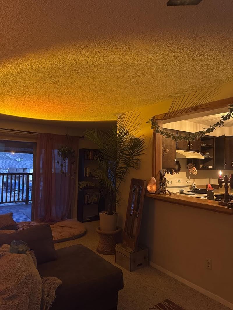 Mroace Fall Sunset Lamp Projector Light