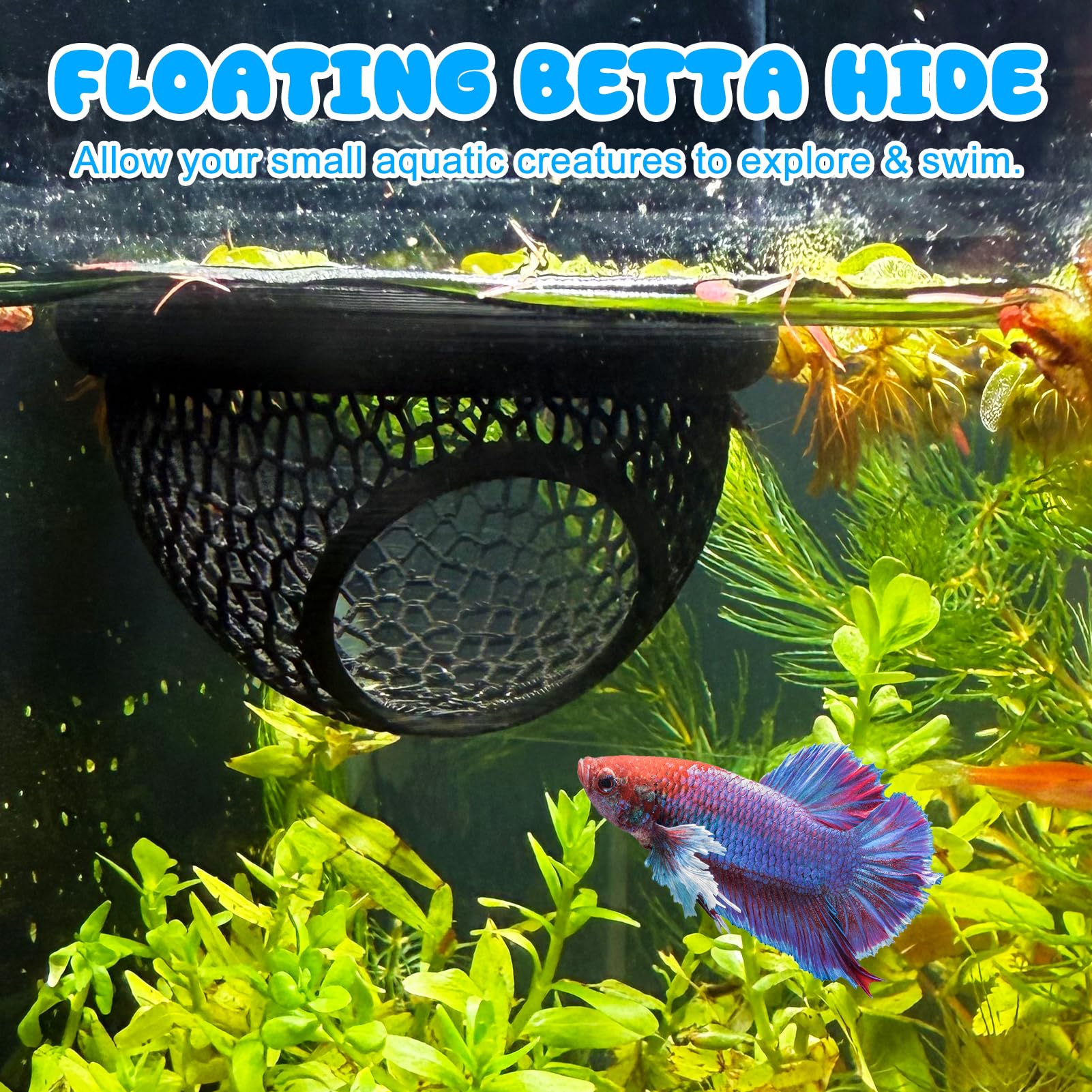 Mroace Floating Betta Hide & Shrimp Cave