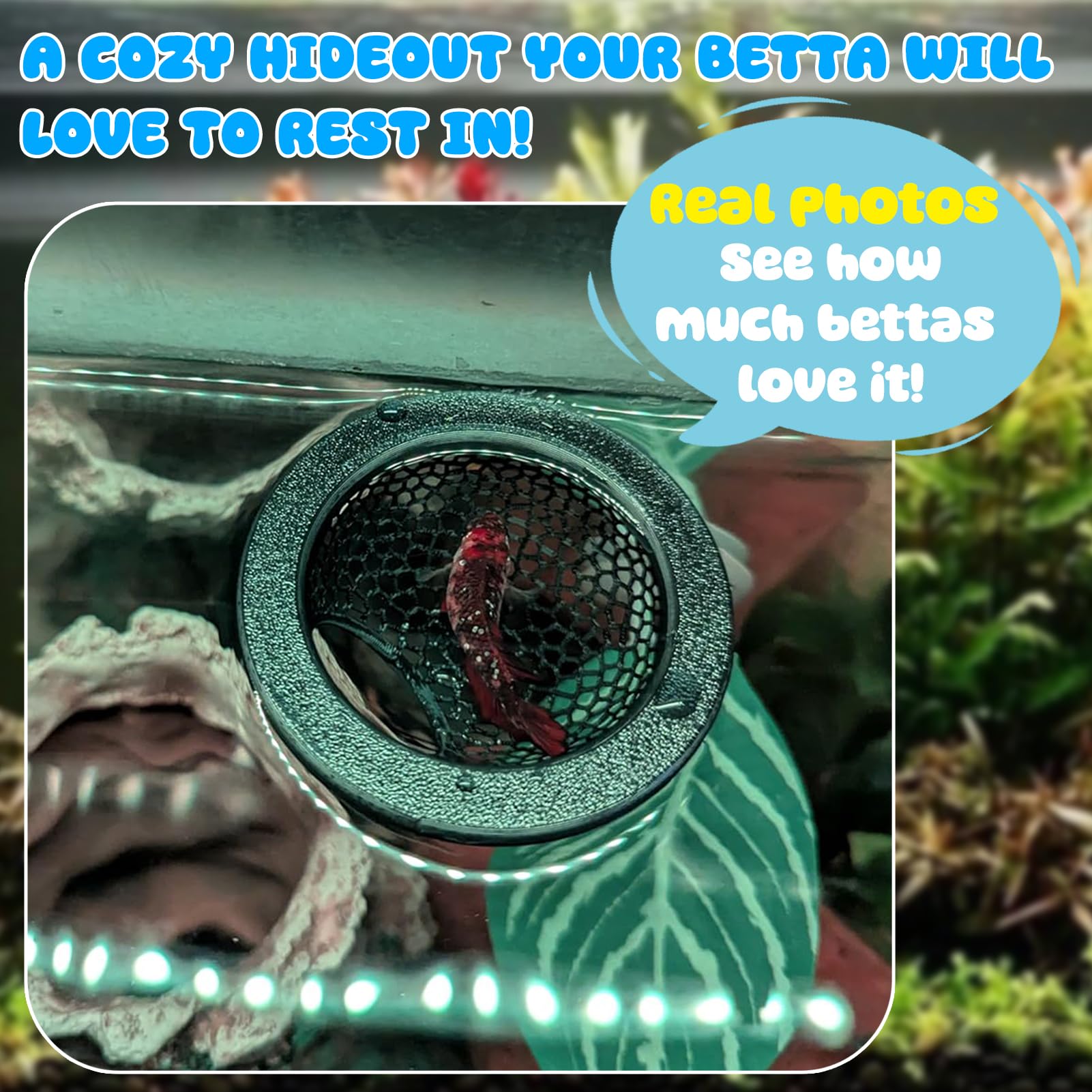 Mroace Floating Betta Hide & Shrimp Cave