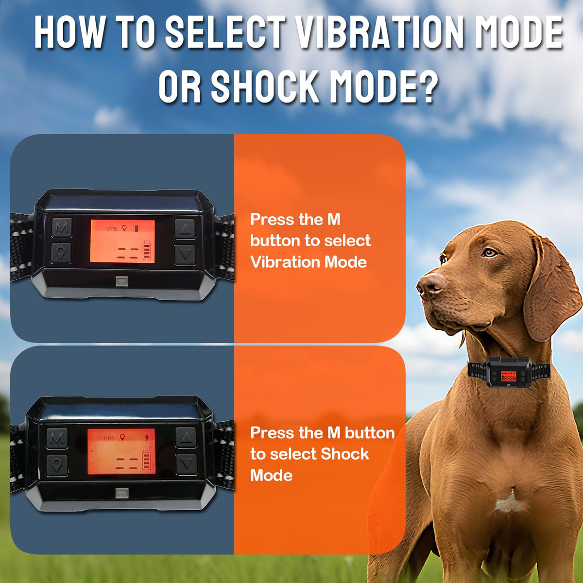 Mroace GPS Dog Fence Collar