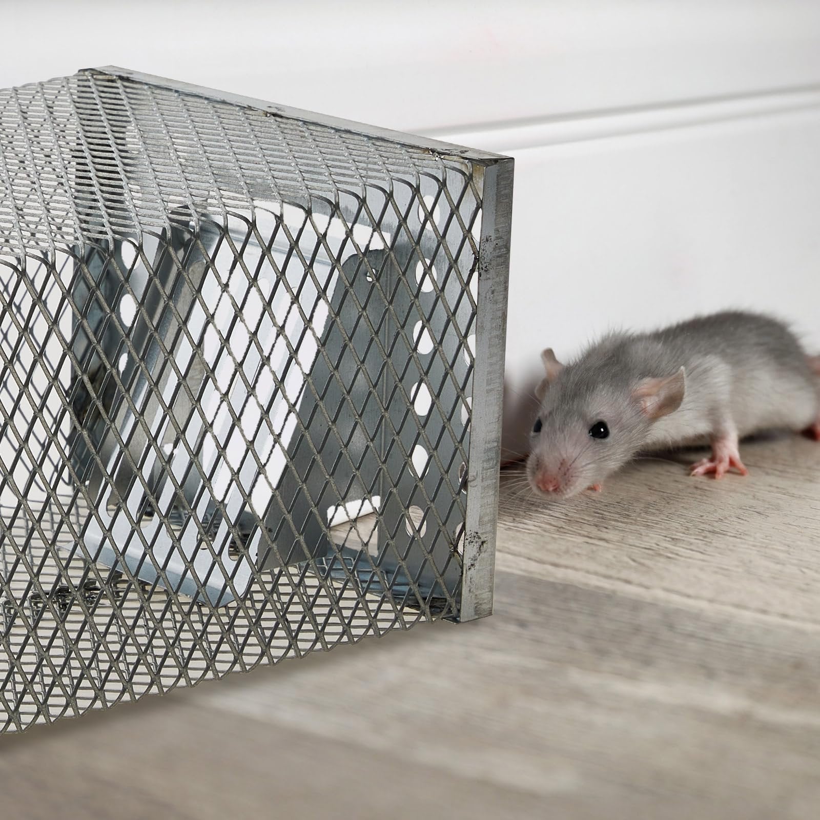 Mroace Humane Live Catch & Release Mouse Trap