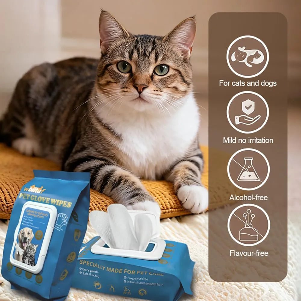 Mroace No Rinse Pet Grooming Glove Wipes