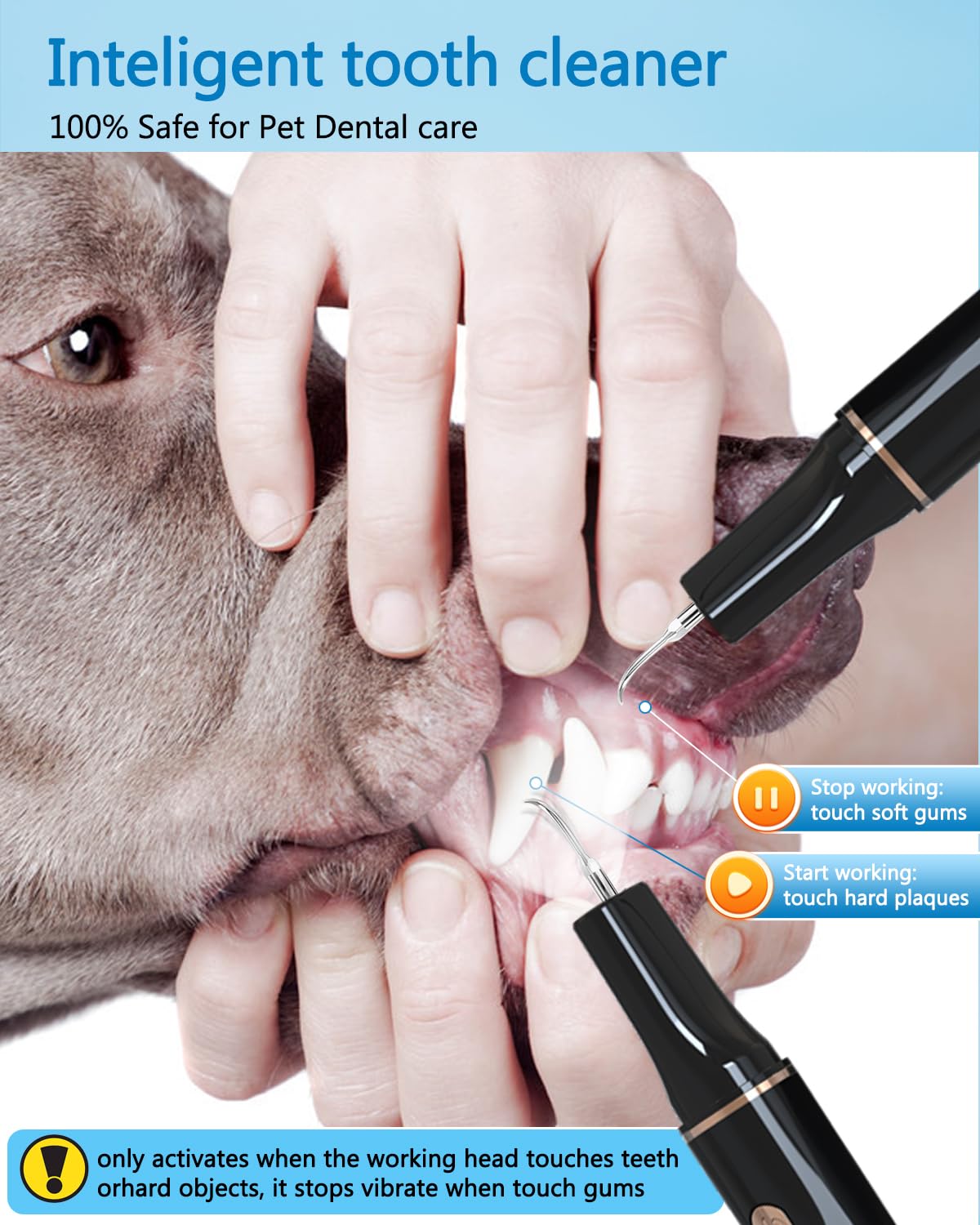 Mroace Plaque Remover for Teeth