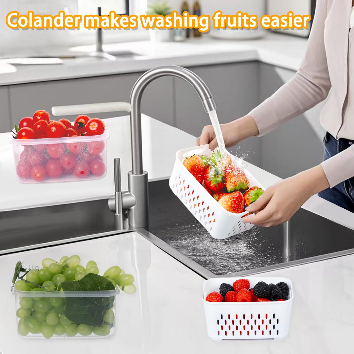 Mroace Produce Saver Containers Set