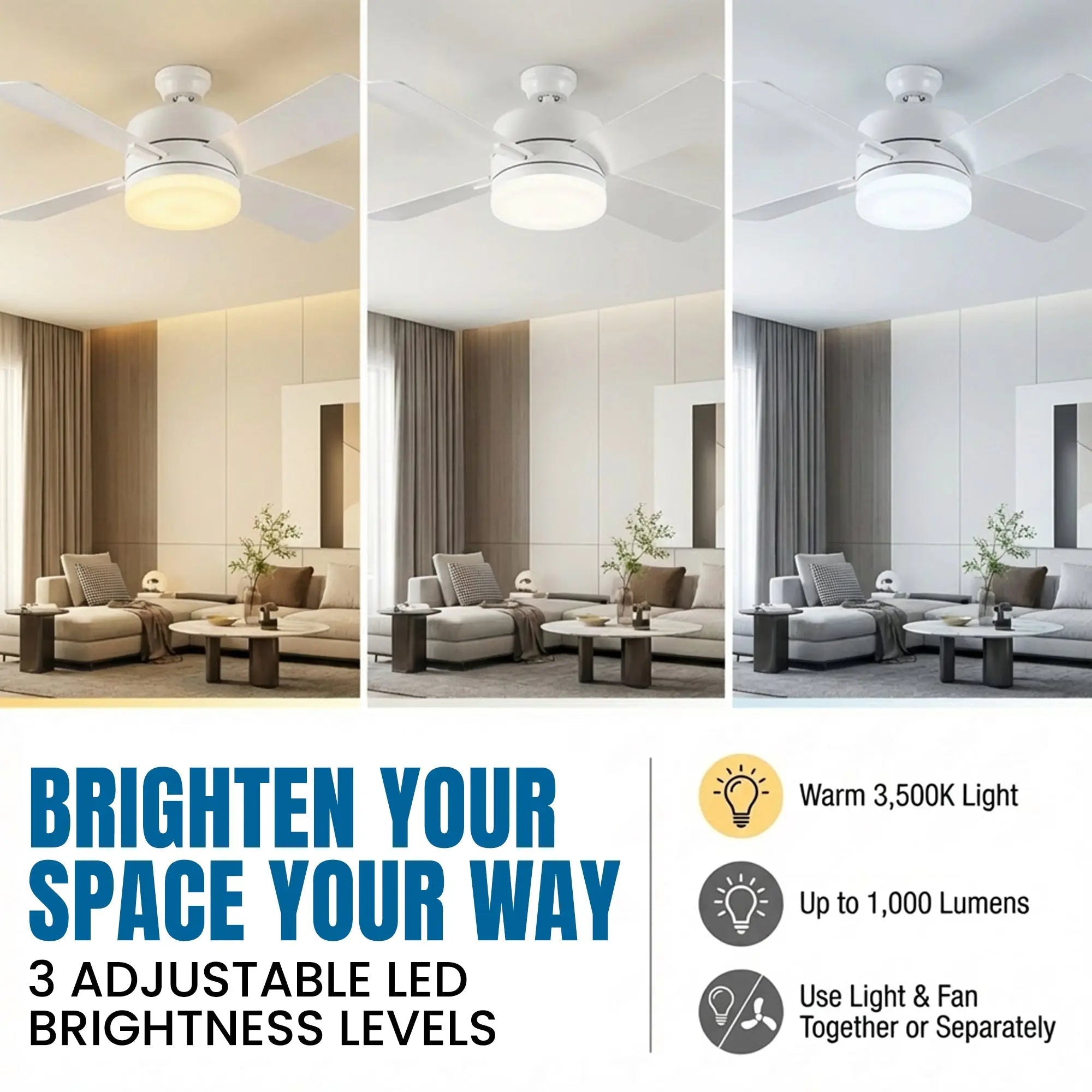 Mroace Remote Controlled Socket Ceiling Fan Light