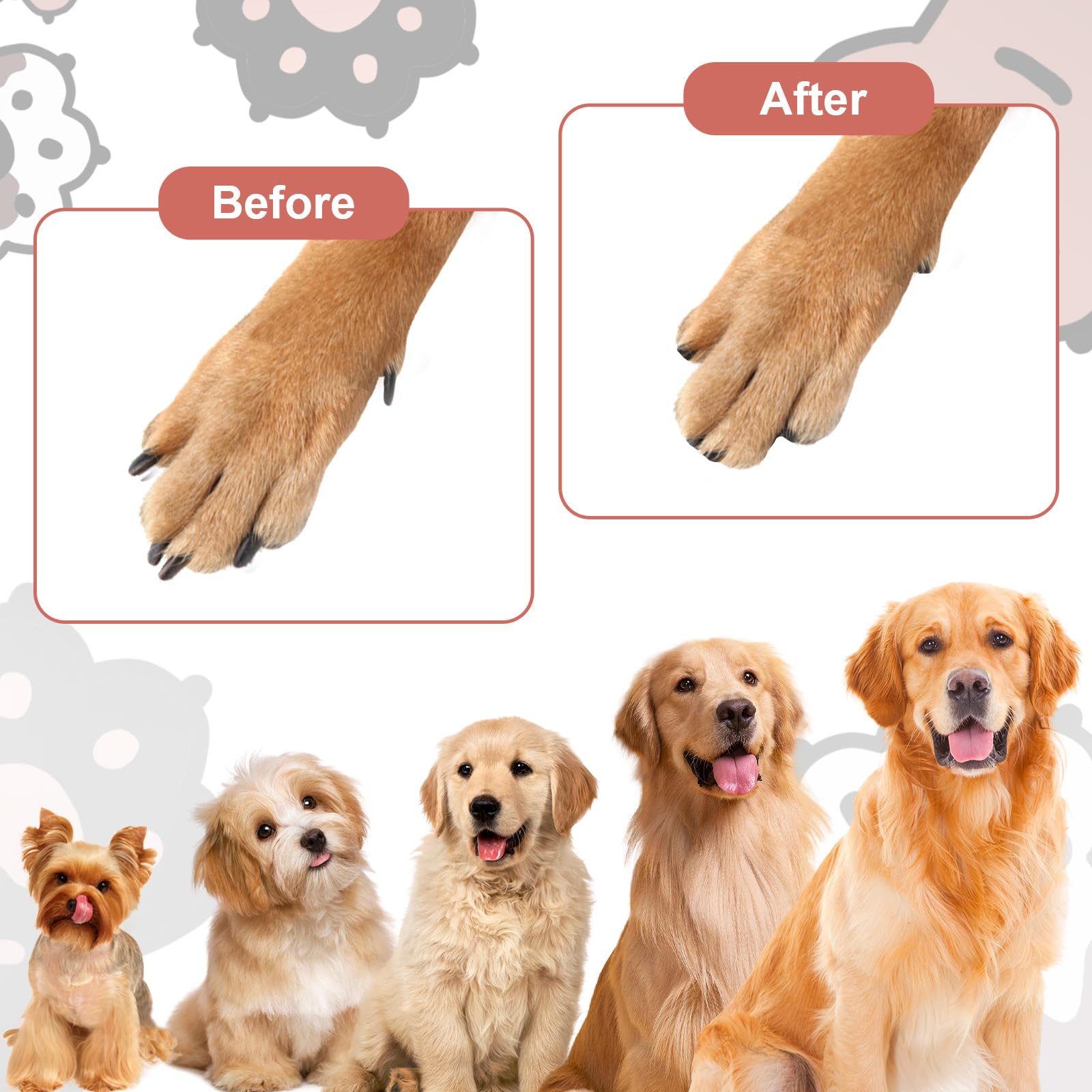 Mroace Replaceable Disc Dog Nail Scratch Board