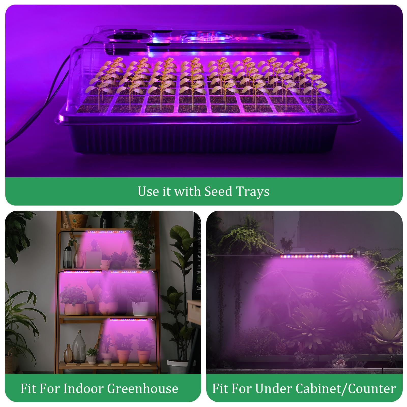 Mroace Seed Starter Tray with Grow Light Set