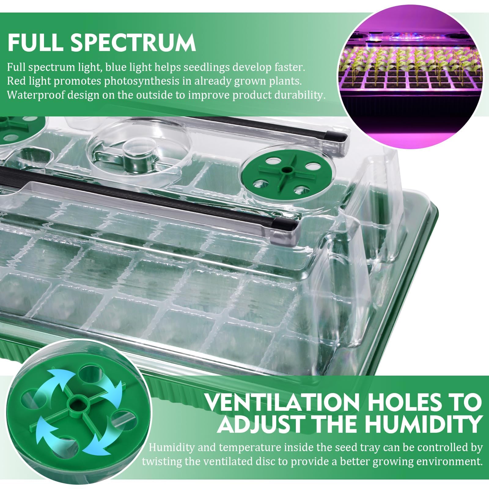 Mroace Seed Starter Tray with Grow Light Set