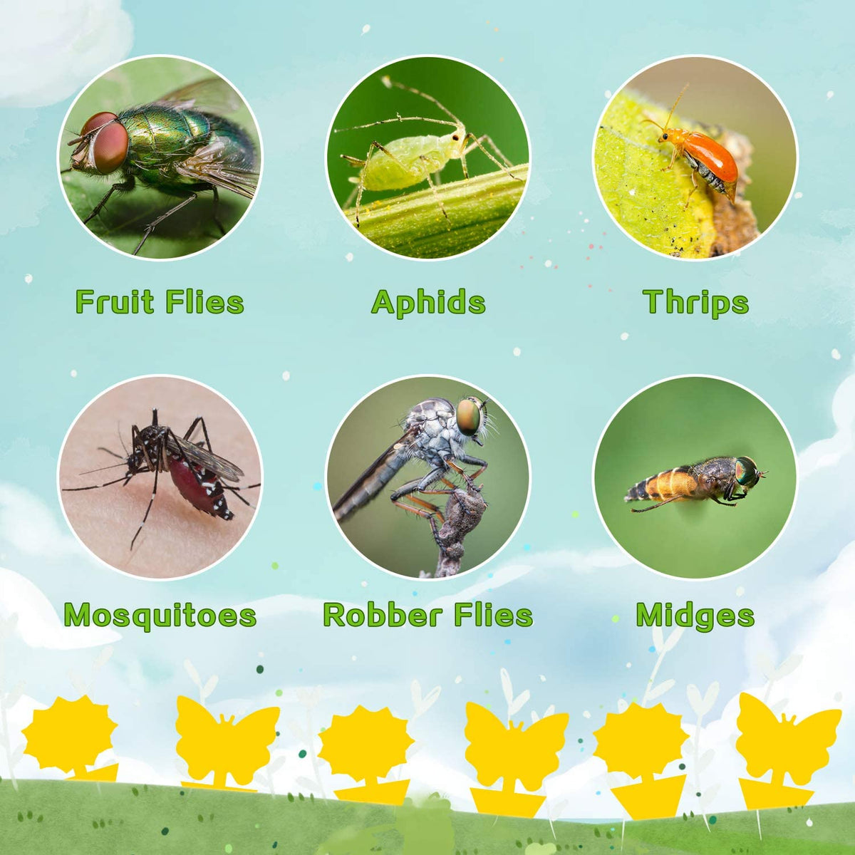 Mroace Sticky Plant Traps kit
