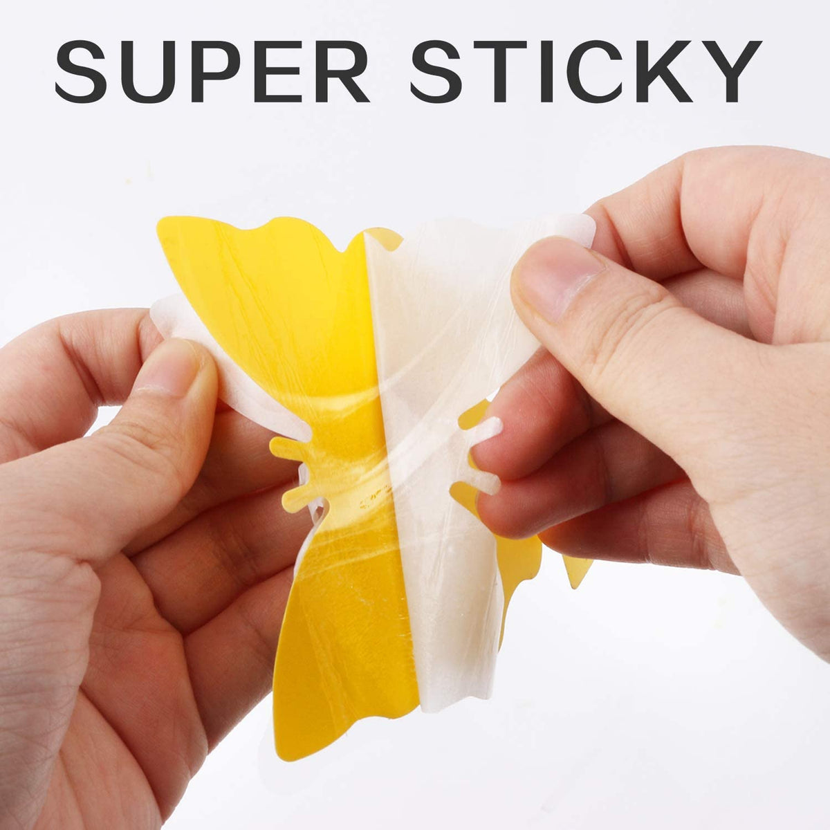 Mroace Sticky Plant Traps kit