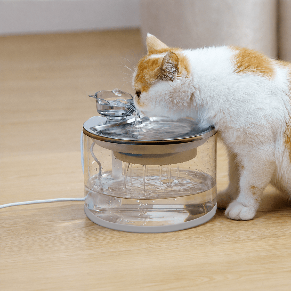 Mroace Transparent Automatic Pet Water Fountain
