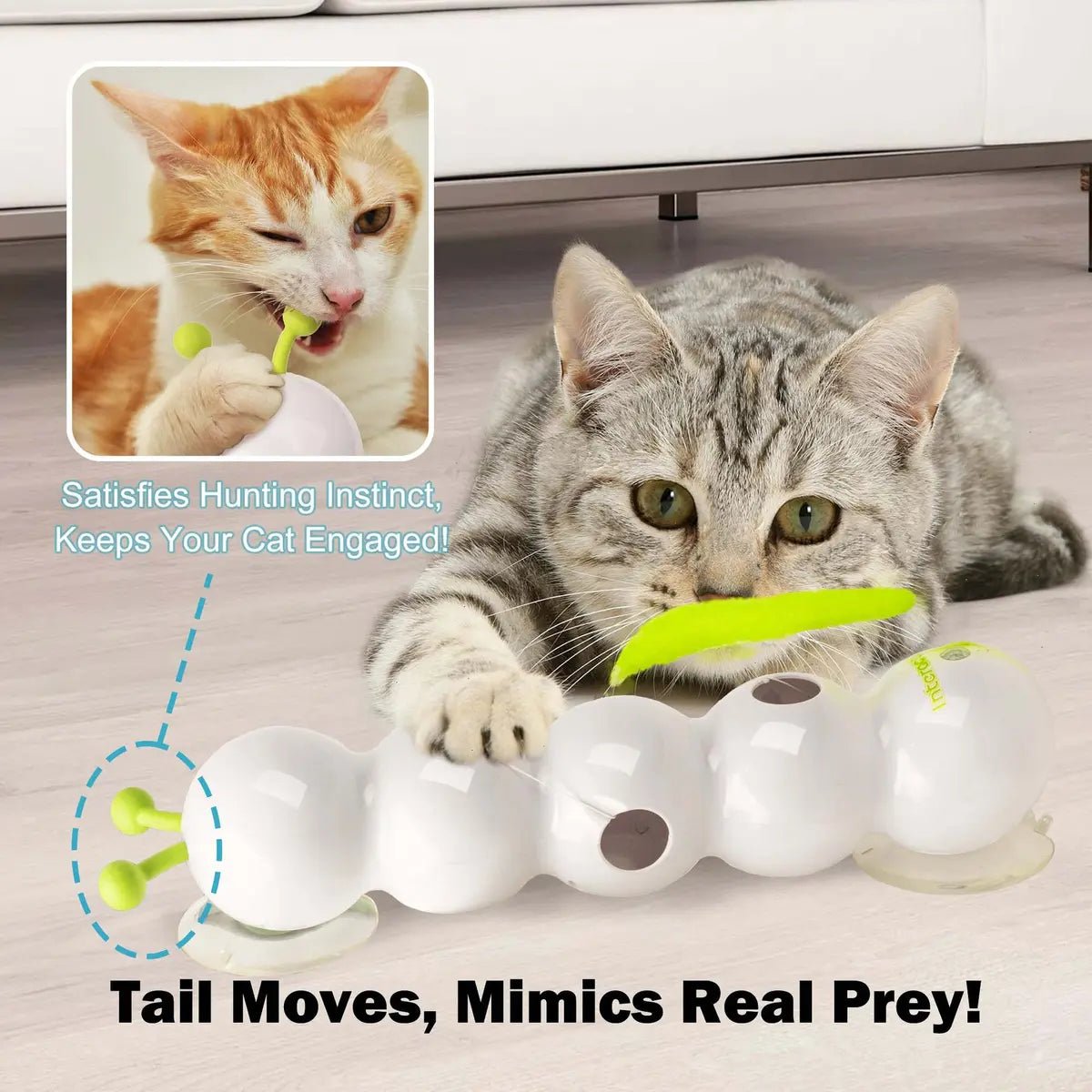 Mroace Whack a Worm Post Cat Toy